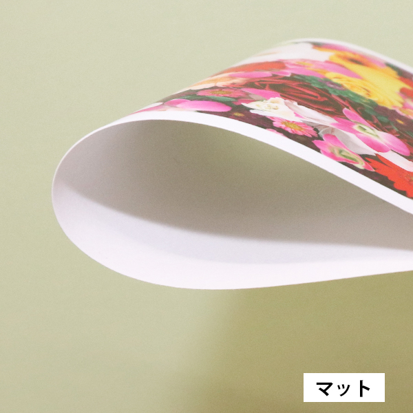糊付きシート
